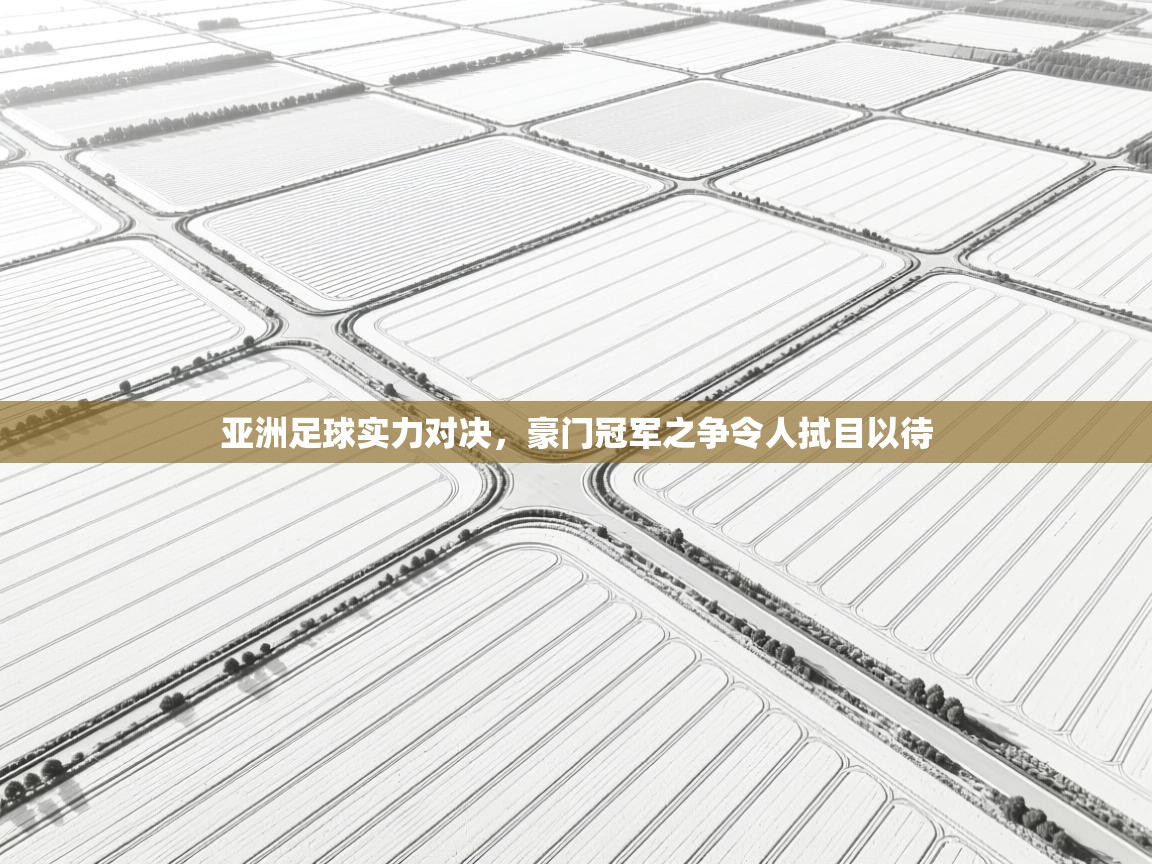 亚洲足球实力对决，豪门冠军之争令人拭目以待  第2张