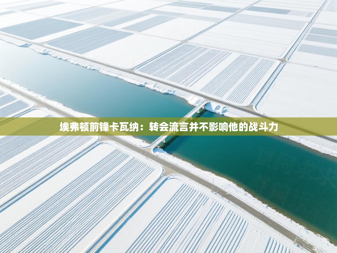 埃弗顿前锋卡瓦纳：转会流言并不影响他的战斗力