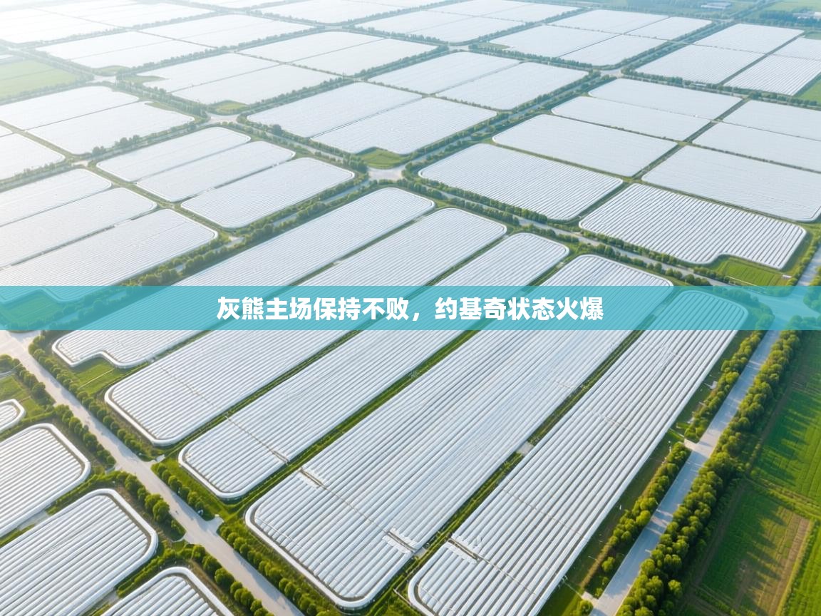 灰熊主场保持不败，约基奇状态火爆